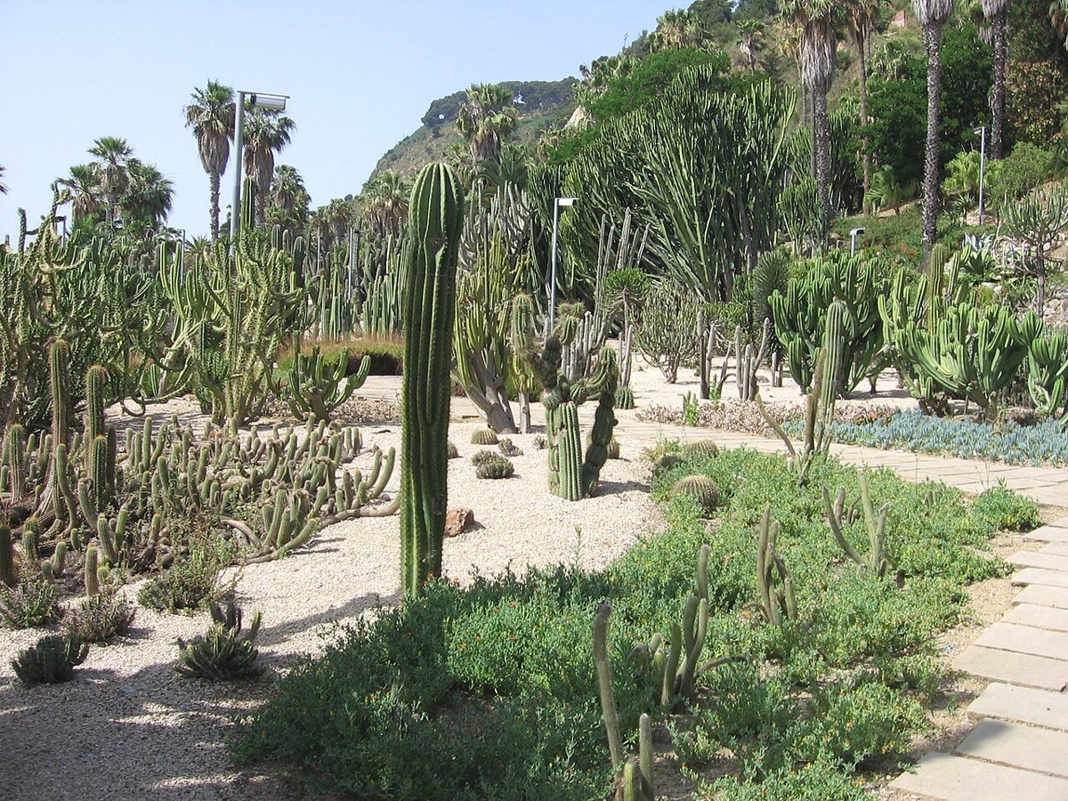 Jardins de Mossèn Costa i Llobera em Barcelona, Espanha
